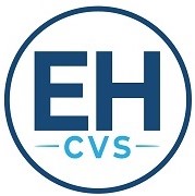 Ealing and Hounslow CVS