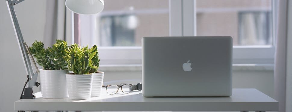 Clean white desk with MacBook laptop, potted plant, eyeglasses, and desk lamp by window